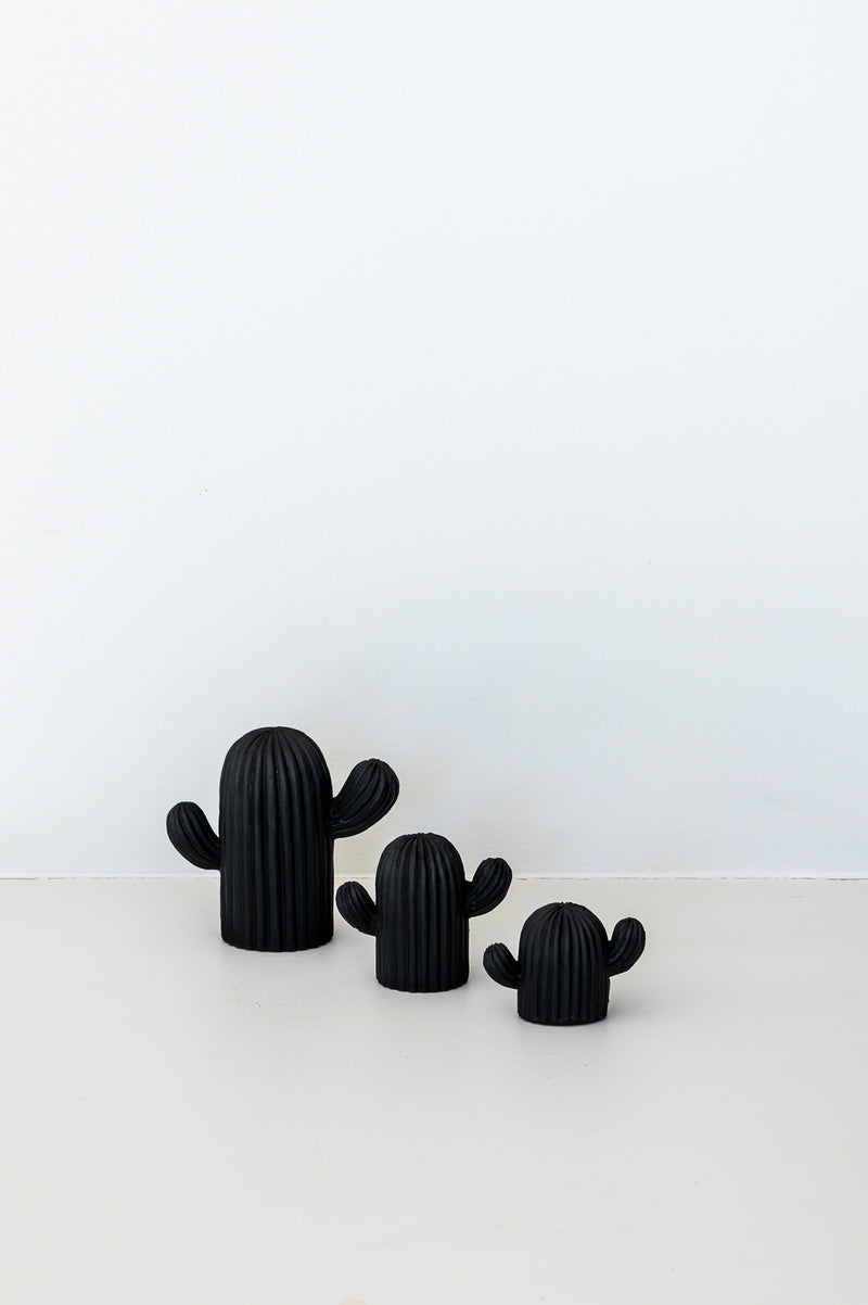 Trio de cactus